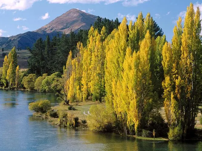 稳定性信息化